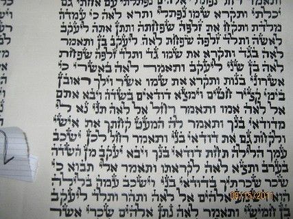 ספר תורה ב