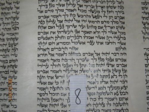ספר תורה 8